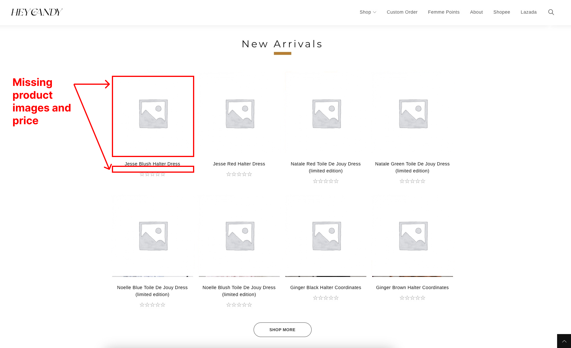 Screenshot of the missing product images and price on the product listing